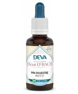 Pin Sylvestre (Pine - N°24) - SANS ALCOOL BIO, 30 ml